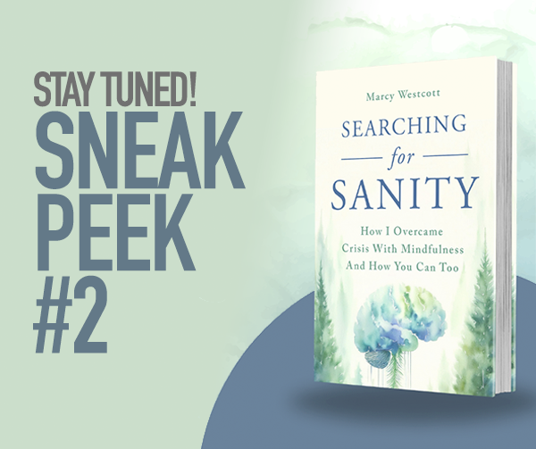 Graphic for Searching for Sanity by Marcy Westcott, featuring the book cover alongside the text "Stay Tuned! Sneak Peek #2" on a green background.