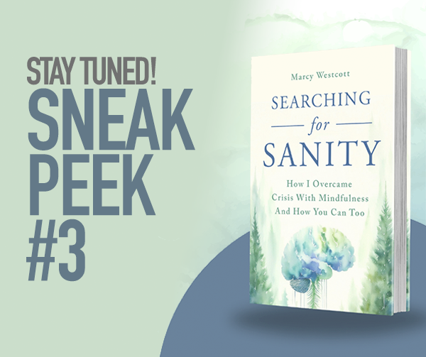 Graphic for Searching for Sanity by Marcy Westcott, featuring the book cover alongside the text "Stay Tuned! Sneak Peek #3" on a green background.